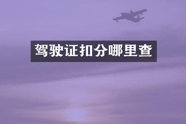 驾驶证扣分哪里查