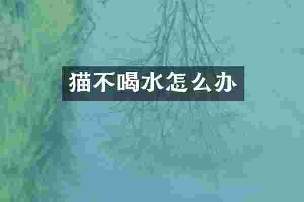 猫不喝水怎么办