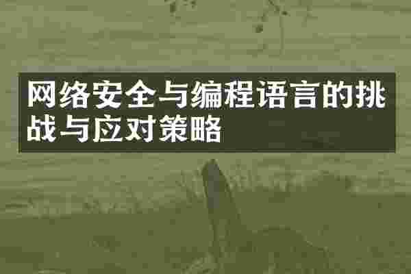 网络安全与编程语言的挑战与应对策略