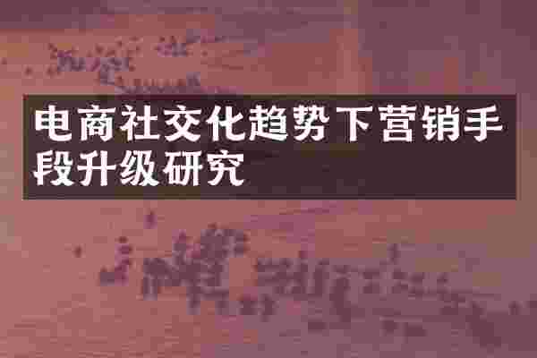 电商社交化趋势下营销手段升级研究