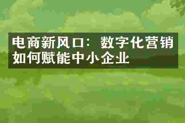 电商新风口：数字化营销如何赋能中小企业