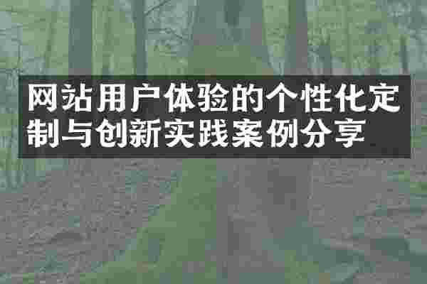 网站用户体验的个性化定制与创新实践案例分享