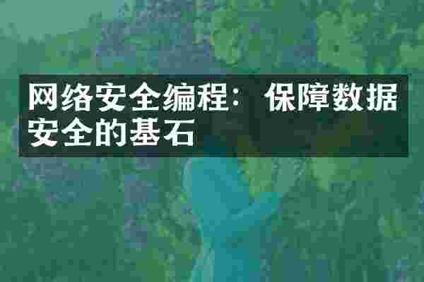 网络安全编程：保障数据安全的基石