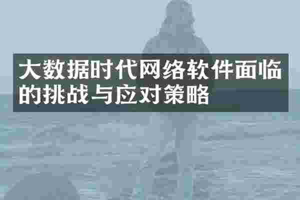 大数据时代网络软件面临的挑战与应对策略