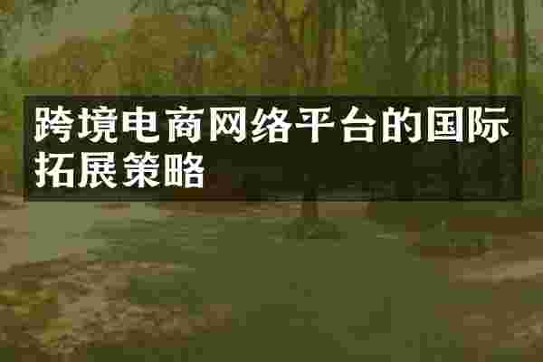 跨境电商网络平台的国际拓展策略
