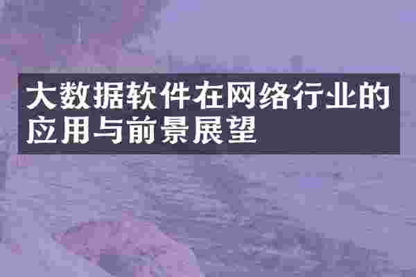 大数据软件在网络行业的应用与前景展望