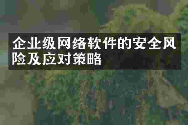 企业级网络软件的安全风险及应对策略