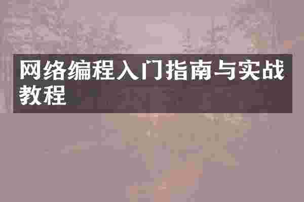 网络编程入门指南与实战教程