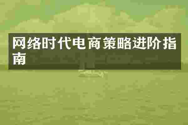 网络时代电商策略进阶指南