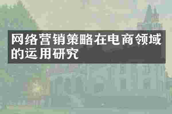 网络营销策略在电商领域的运用研究