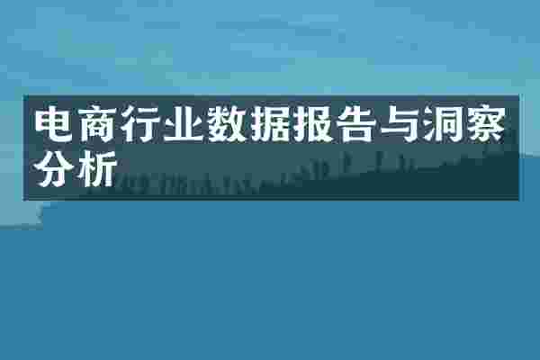 电商行业数据报告与洞察分析
