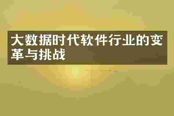 大数据时代软件行业的变革与挑战
