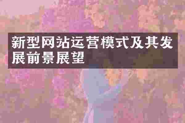 新型网站运营模式及其发展前景展望