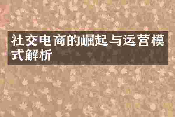 社交电商的崛起与运营模式解析