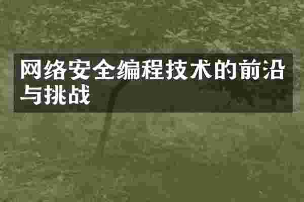 网络安全编程技术的前沿与挑战