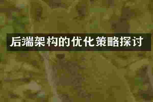 后端架构的优化策略探讨