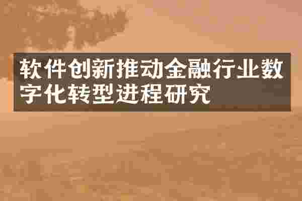 软件创新推动金融行业数字化转型进程研究