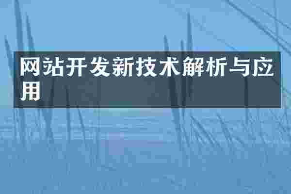 网站开发新技术解析与应用