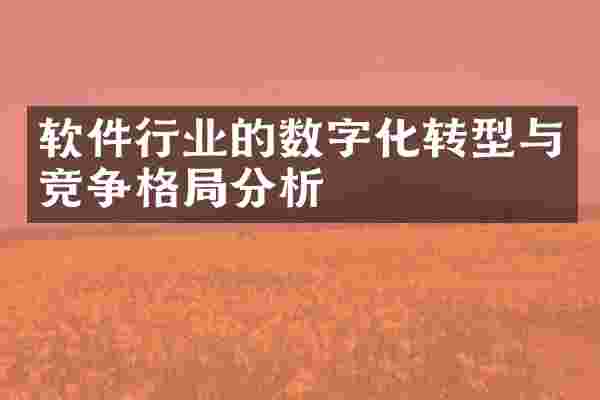 软件行业的数字化转型与竞争格局分析