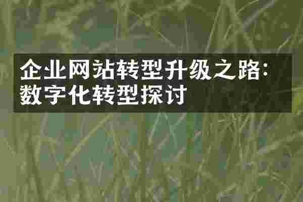 企业网站转型升级之路：数字化转型探讨