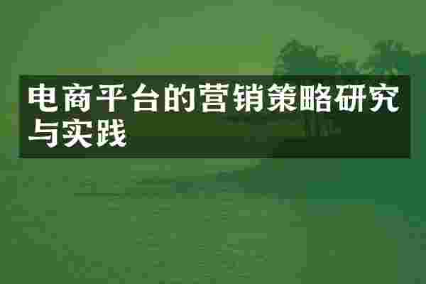 电商平台的营销策略研究与实践