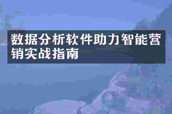 数据分析软件助力智能营销实战指南