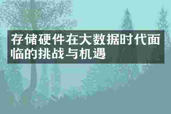 存储硬件在大数据时代面临的挑战与机遇