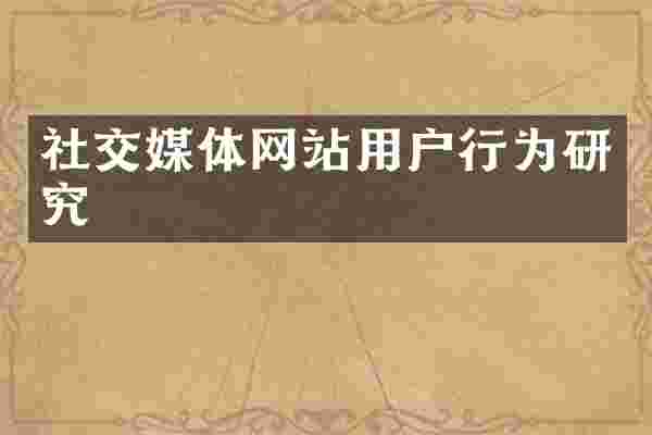 社交媒体网站用户行为研究