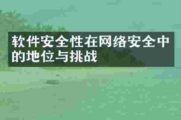 软件安全性在网络安全中的地位与挑战
