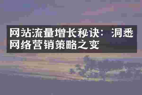 网站流量增长秘诀：洞悉网络营销策略之变