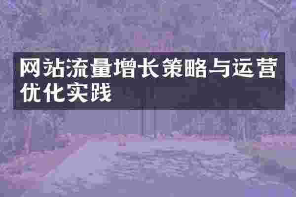 网站流量增长策略与运营优化实践