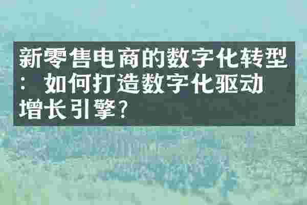 新零售电商的数字化转型：如何打造数字化驱动的增长引擎？