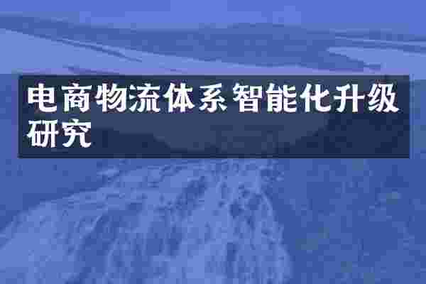 电商物流体系智能化升级研究