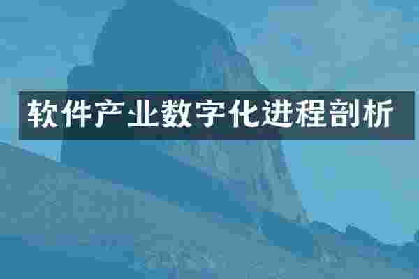 软件产业数字化进程剖析