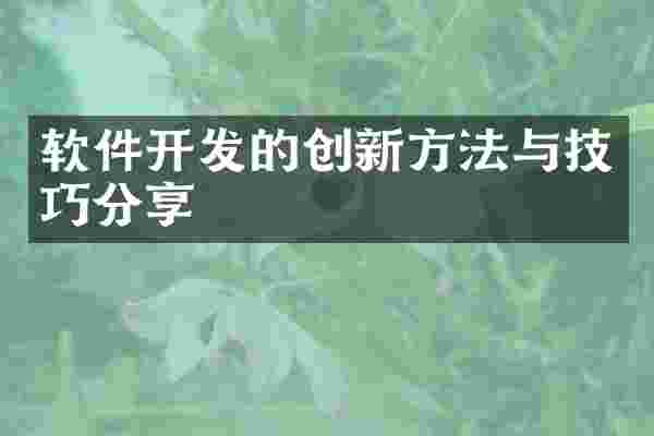 软件开发的创新方法与技巧分享