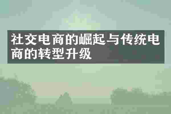 社交电商的崛起与传统电商的转型升级