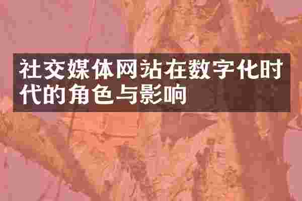 社交媒体网站在数字化时代的角色与影响