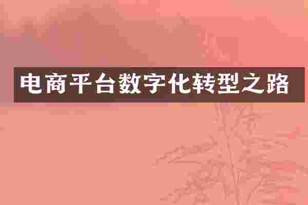电商平台数字化转型之路