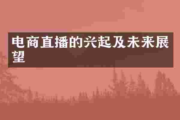 电商直播的兴起及未来展望