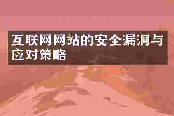 互联网网站的安全漏洞与应对策略