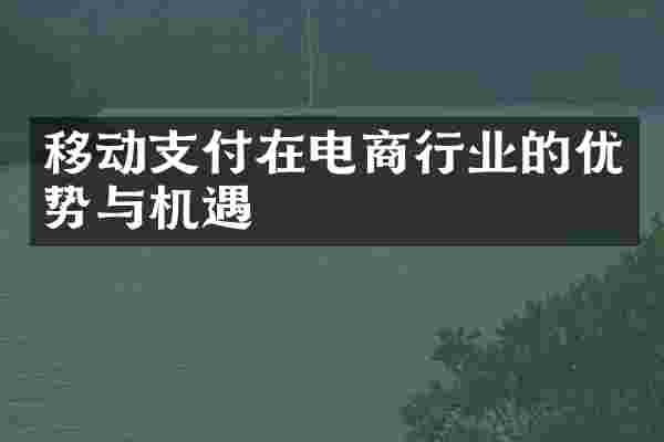 移动支付在电商行业的优势与机遇