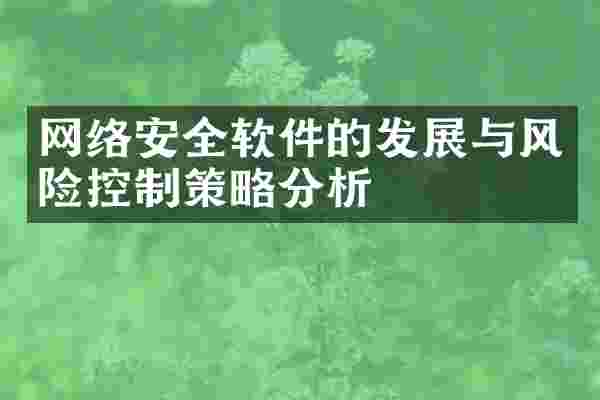 网络安全软件的发展与风险控制策略分析