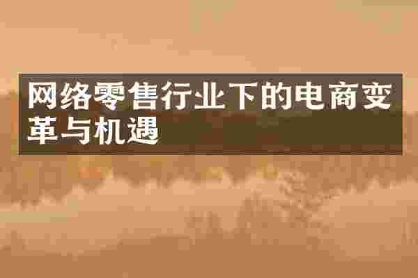 网络零售行业下的电商变革与机遇