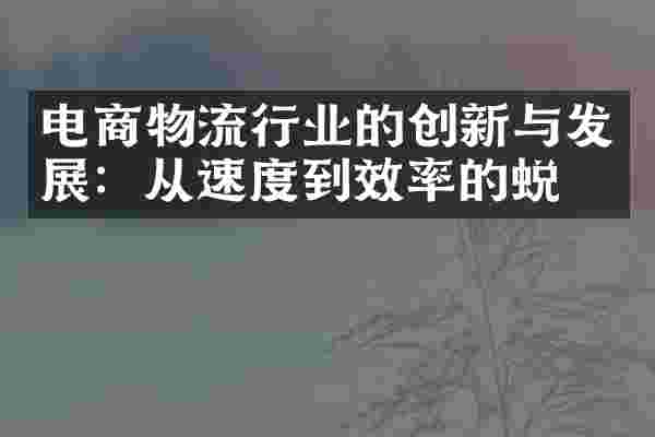 电商物流行业的创新与发展：从速度到效率的蜕变