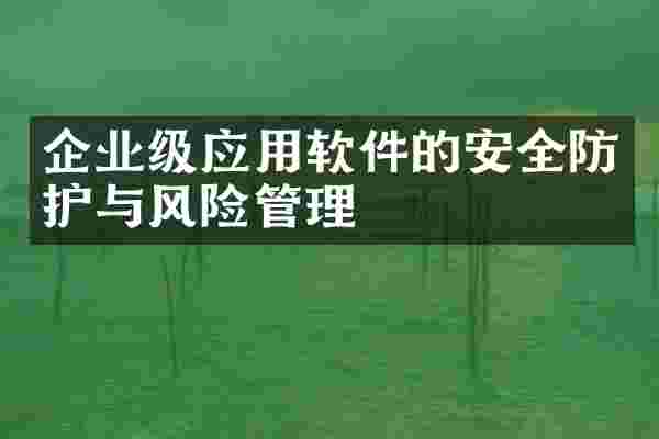 企业级应用软件的安全防护与风险管理