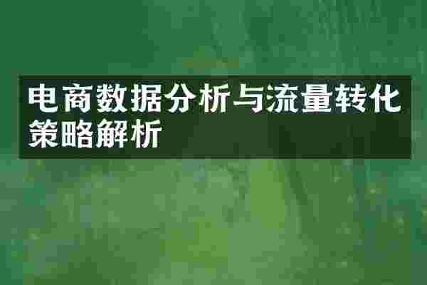 电商数据分析与流量转化策略解析