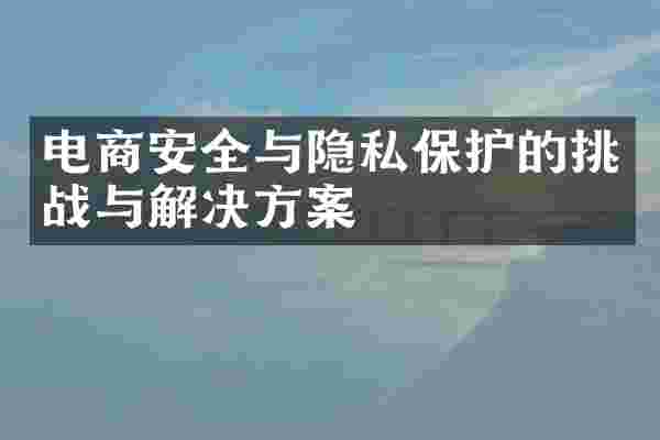 电商安全与隐私保护的挑战与解决方案