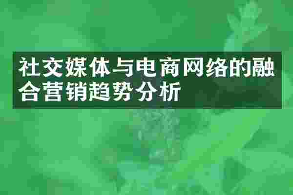 社交媒体与电商网络的融合营销趋势分析