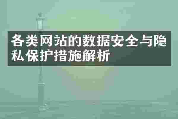 各类网站的数据安全与隐私保护措施解析
