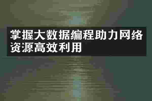 掌握大数据编程助力网络资源高效利用